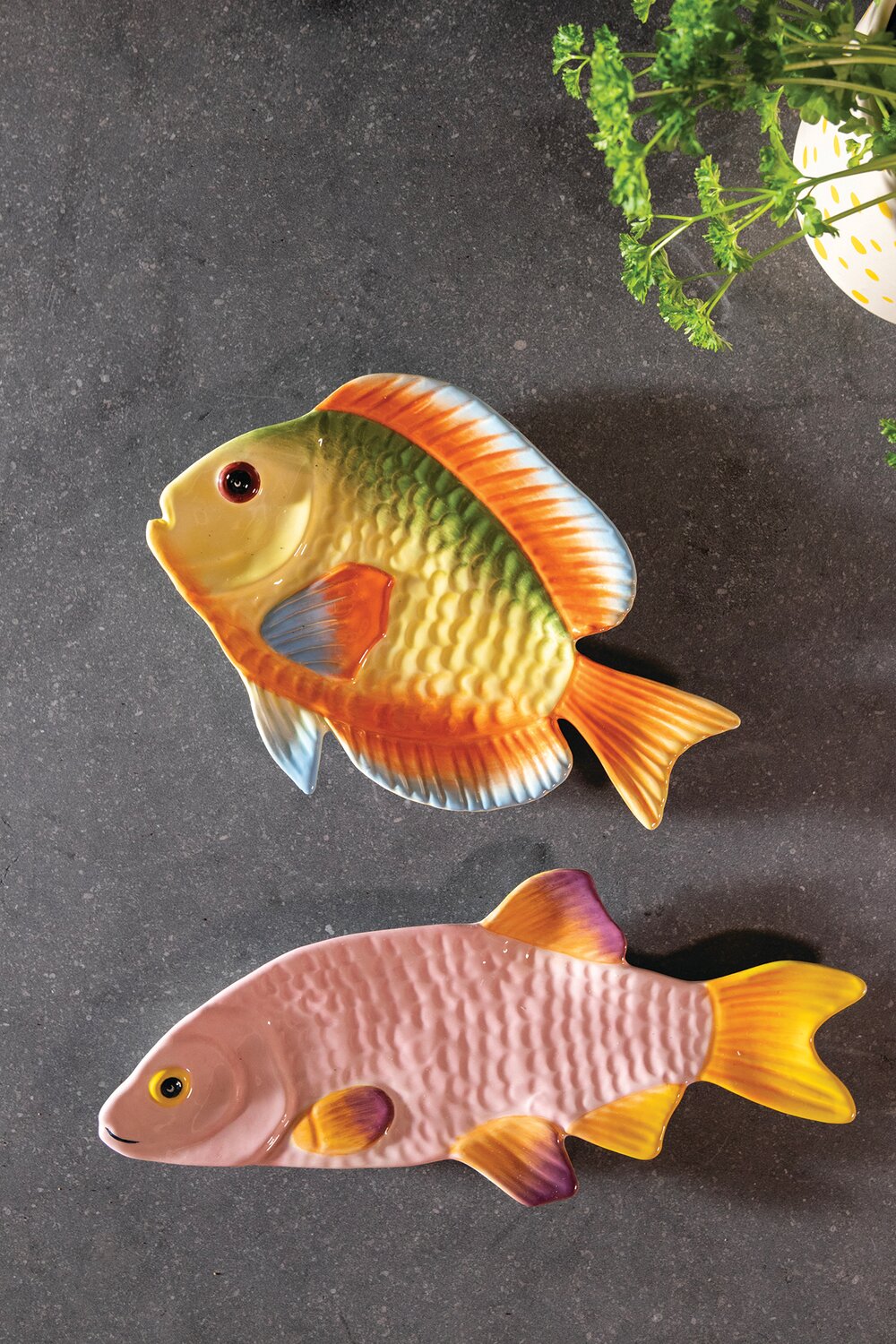 Rainbowfish fad, multi - L25 cm.